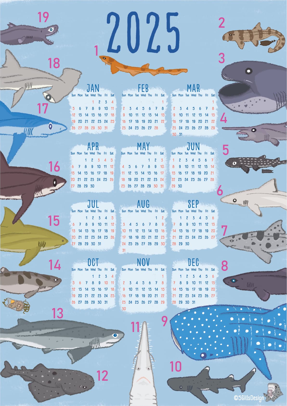 2025台灣的鯊魚年曆物種解說